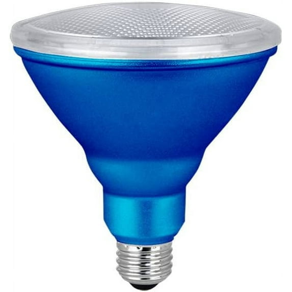 Xtricity PAR38 Blue LED Flood Light Bulb Outdoor/ Indoor, 7W(40 Eqv), E26, 3000K, UL Listed