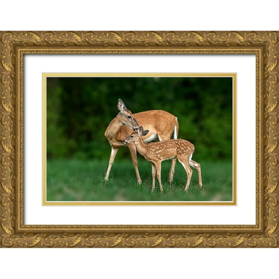 Xu, Jian 14x11 Gold Ornate Wood Framed with Double Matting Museum Art Print Titled - Mom And Baby