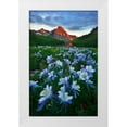 thumbnail image 1 of Xu, Mei 10x14 White Modern Wood Framed Museum Art Print Titled - Blue Columbine Paradise, 1 of 4