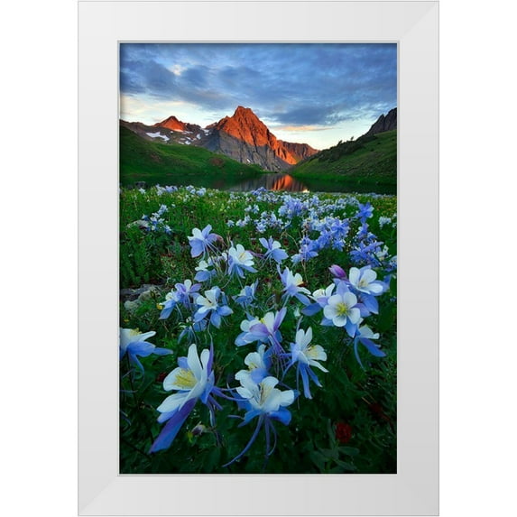 Xu, Mei 10x14 White Modern Wood Framed Museum Art Print Titled - Blue Columbine Paradise