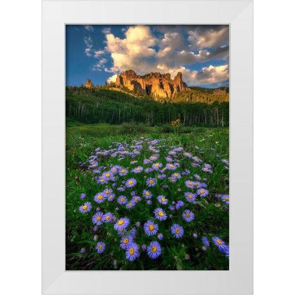 Xu, Mei 11x14 White Modern Wood Framed Museum Art Print Titled - Canyon And Daisies