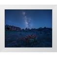 thumbnail image 1 of Xu, Mei 14x12 White Modern Wood Framed Museum Art Print Titled - Milky Way Over Blooming Cactus In Needles District, 1 of 4