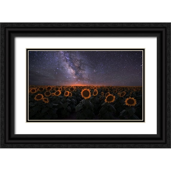 Xu, Mei 24x16 Black Ornate Wood Framed with Double Matting Museum Art Print Titled - Dreamscape
