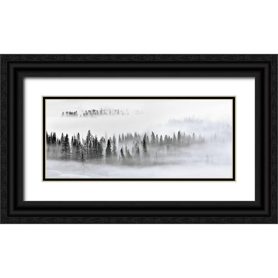 Xu, Mei 32x16 Black Ornate Wood Framed with Double Matting Museum Art Print Titled - Foggy Forest