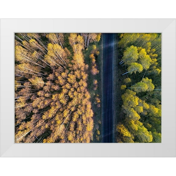 Xu, Mei 32x25 White Modern Wood Framed Museum Art Print Titled - Divide