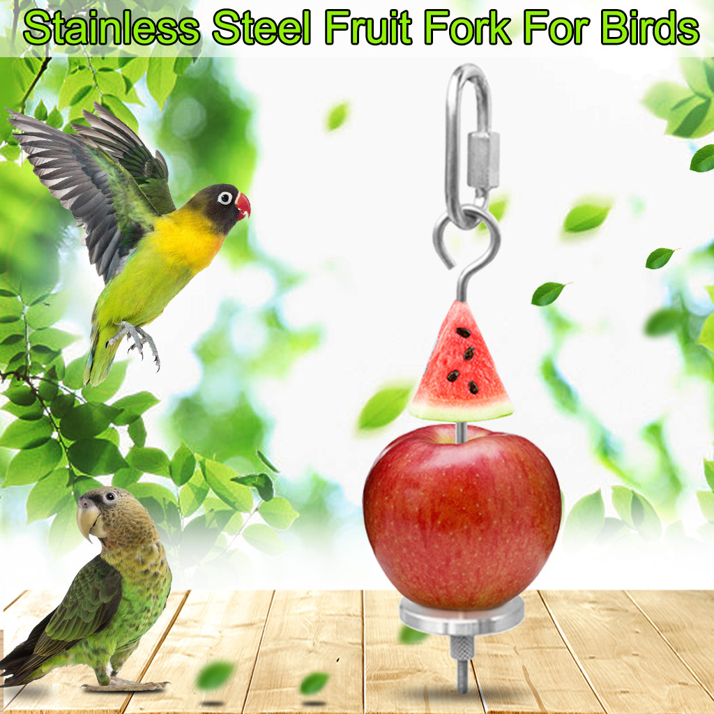 STOBOK 6-Piece Bird Food Holders - Parrot Fruit & Vegetable Clips, Cage Accessories For Budgies, Parakeets, Cockatiels, Conures