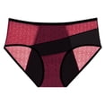 thumbnail image 1 of Xucatan 1 Pcs Women's Floral Floral Embroidered Brief Underwear Mid Rise No Show Mesh Thongs Panty Hipster, 1 of 4