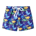 thumbnail image 1 of Xudanell Boys Bathing Suit Boys Swim Trunks Toddler Beach Shorts Board shorts Quick Dry Beach Swim Shorts Little Boys Elastic Drawstring Bathing Suit Swimsuit, 1 of 3