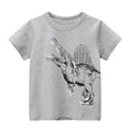 thumbnail image 1 of Xudanell Boys Round Neck Shirt Cute Dinosaur Printed Tshirt Summer Play Home Short Sleeves, 1 of 2