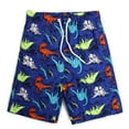 thumbnail image 1 of Xudanell Boys Swim Trunks Swim Shorts Ocean Theme Print Colorful Sport Short Trendy Surfing Shorts Adjustable Waistband Swim Shorts, 1 of 7