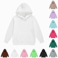 thumbnail image 1 of Xudanell Kids Cotton Hoodies Toddler Fall Pullover Hooded Medium Weight Sweatshirts with Pocket for Boys and Girls Coffee,Size 1-2 Years, 1 of 4
