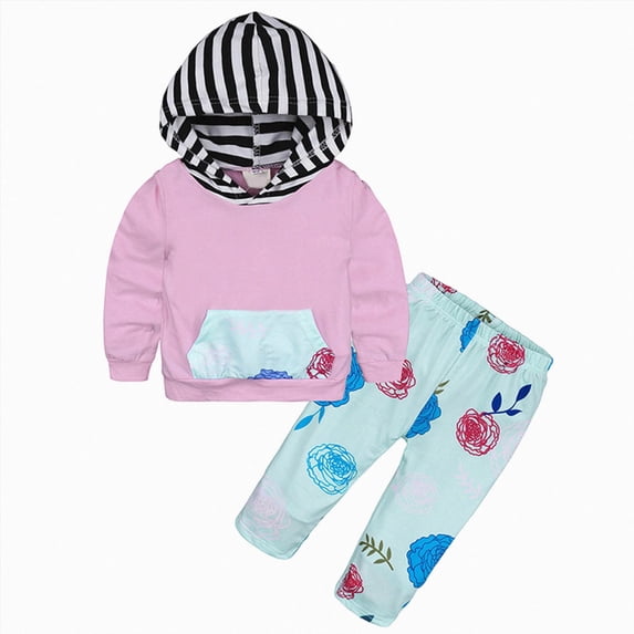 Xudanell Toddler Baby Girl Clothes Hoodie Sweatshirts Print Pants 2 Piece Outfits Cute Fall Winter Clothing Set (Pink,6-12 Months)