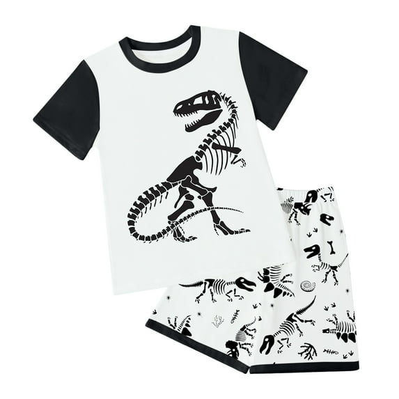Xudanell Toddler Boys Outfit Sets Summer 2 Piece Cotton Dinosaur Shirts and Shorts Set Multicolor