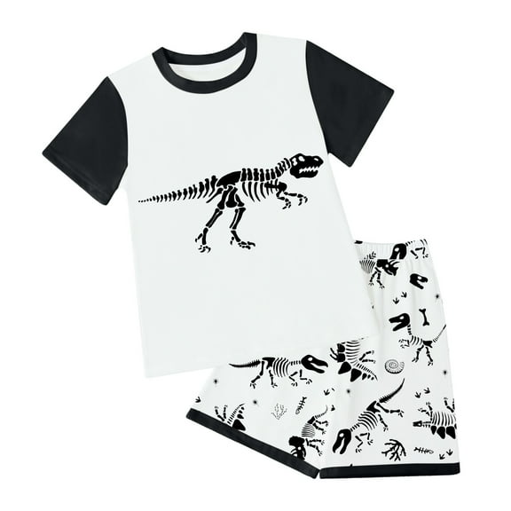 Xudanell Toddler Boys Outfit Sets Summer 2 Piece Cotton Dinosaur Shirts and Shorts Set Multicolor