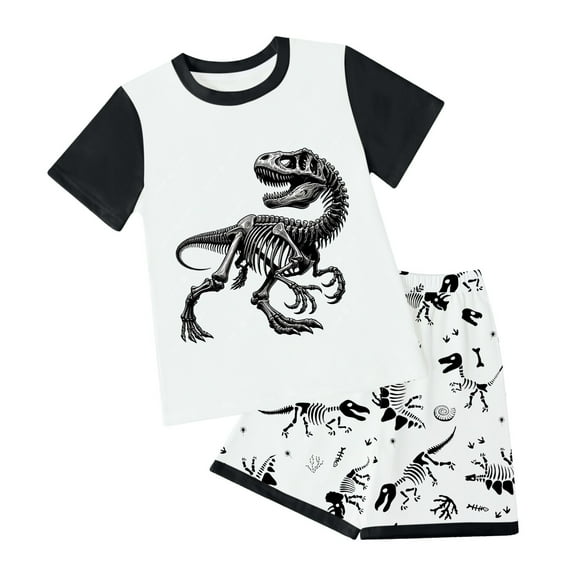 Xudanell Toddler Boys Outfit Sets Summer 2 Piece Cotton Dinosaur Shirts and Shorts Set Multicolor