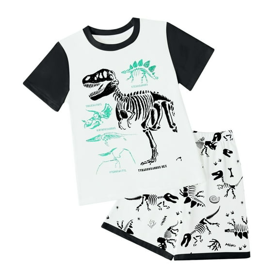 Xudanell Toddler Boys Outfit Sets Summer 2 Piece Cotton Dinosaur Shirts and Shorts Set Multicolor