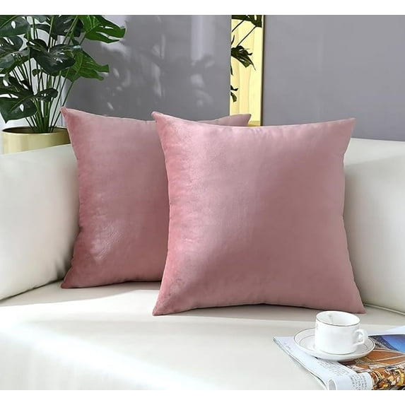 Xukmct 2 Pack Throw Pillow Covers with Zipper, Velvet Soft Decorative Cushion Case for Sofa Couch Bedroom Living Room, 16x16 inch