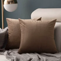 Xukmct Set of 2 Soft Velvet Throw Pillow Covers Square Pillow Cases Solid Color Pillowcases for Sofa Bedroom Chair Car, 16x16 inch