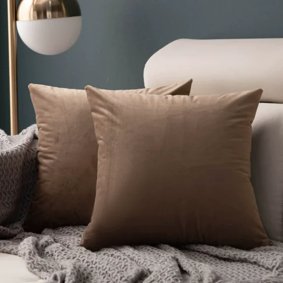 Xukmct Set of 2 Soft Velvet Throw Pillow Covers Square Pillow Cases Solid Color Pillowcases for Sofa Bedroom Chair Car, 16x16 inch