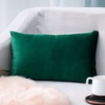 thumbnail image 1 of Xukmct Super Soft Velvet Square Pillowcases with Zipper, Decorative Luxury Pillow Cases Cushion Covers for Couch Sofa Bed, 1 of 7