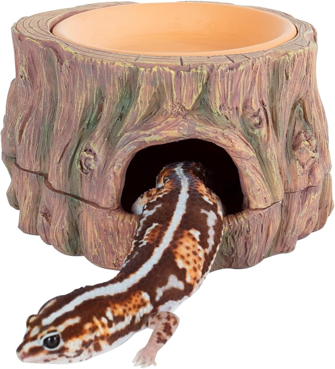 Xwl 3 in 1 Reptile Hide Cave with Detachable Base & Humidity Dish, Essential Tank Terrarium Decor Humid Hideout Accessories for Small Reptiles Crested Gecko, Leopard Gecko, Lizard, Snake, Crabs