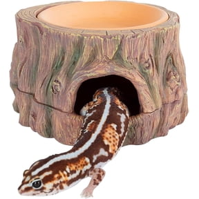 Xwl 3 in 1 Reptile Hide Cave with Detachable Base & Humidity Dish, Essential Tank Terrarium Decor Humid Hideout Accessories for Small Reptiles Crested Gecko, Leopard Gecko, Lizard, Snake, Crabs