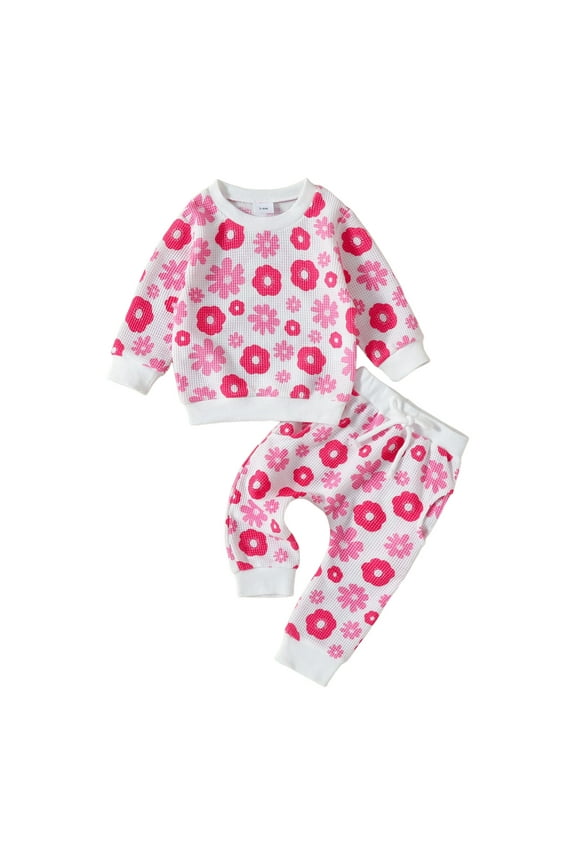 2Pcs Baby Girl Outfits Daisy Sweatshirt + Pants Fall Winter Toddler Girl Clothes (Pink,18-24 Months)