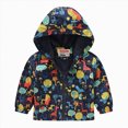 thumbnail image 1 of Xyant Toddler Baby Boy Girl Cartoon Print Zip Jacket Lightweight Hooded Windbreakers Outdoor Raincoat (Sky Blue,2-3 Years), 1 of 3