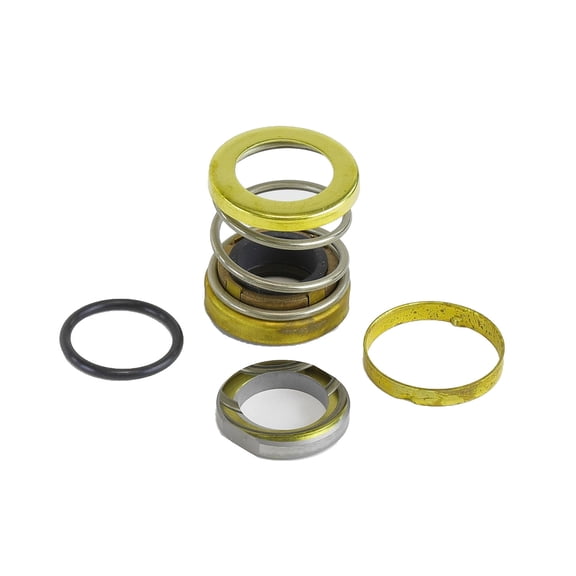 Xylem-Bell & Gossett 185223LF Seal Kit #14 - Professional Grade Installation Kit