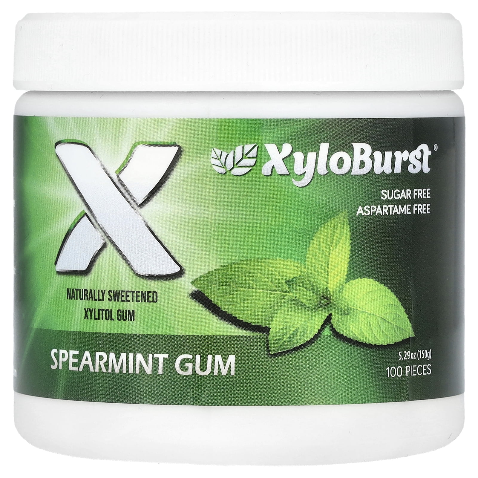 Xylitol Gum, Spearmint, 100 Pieces, 5.29 oz (150 g)