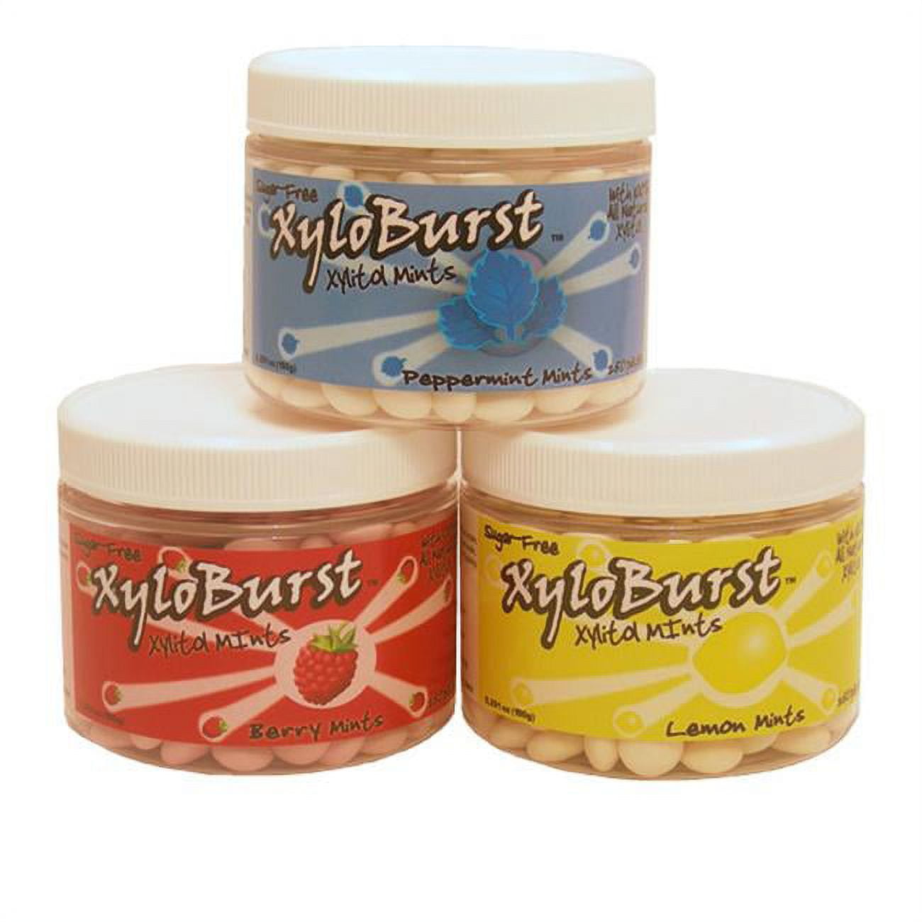 XyloBurst Xylitol Mints Berry 200 Piece(s)