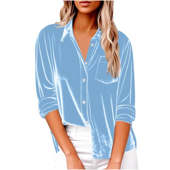 Xyxonk Velvet Shirts for Women Long Sleeve Crew Neck Velour Tops Plus Size Golden Velvet T Shirts Casual Solid Comfy Pullover,Light Blue 2XL