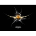 thumbnail image 1 of Xzendor Tri-Star Ninja Golden Head Silver Moth Glossy Poster, 1 of 2