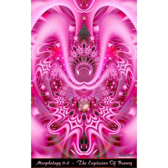 Xzendor7 "Explosion of Beauty" Glossy Poster