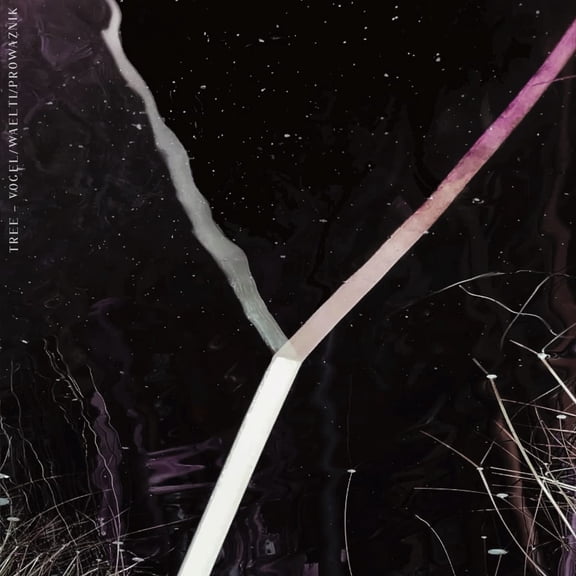 Y (Audiobook)