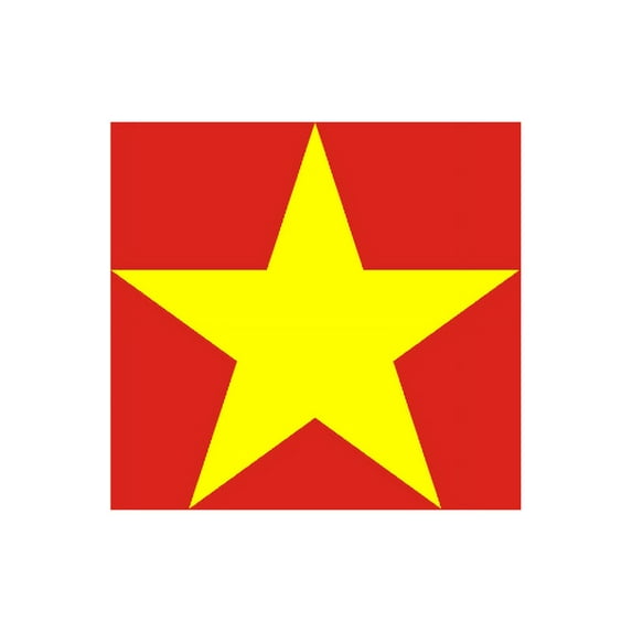 Y H M National Flag Vietnam Flag 4 x 6 feet Bunting For Marine Industrial Use