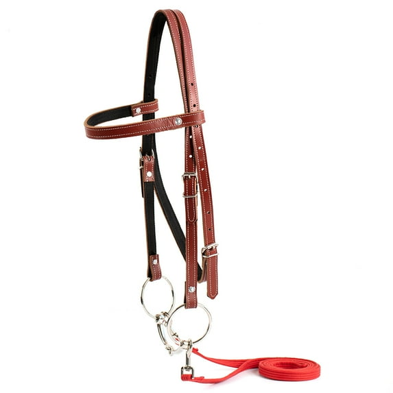 Y.J TAILS Leather Horse Bridle, Adjustable Western Browband Bridles for Horses with Bits and Detachable Reins (L (Above 1.2 Meters), Red)