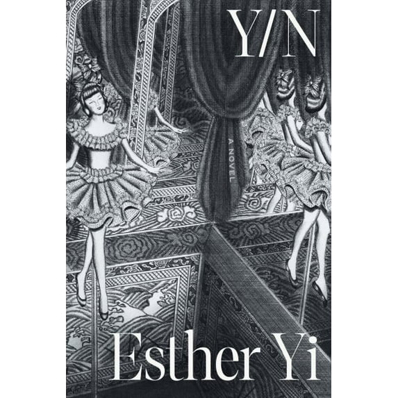 Pre-Owned Y/N : A Novel (Paperback)