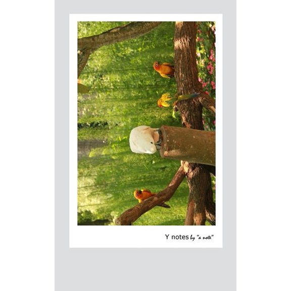 Y Notes by a note (Paperback)