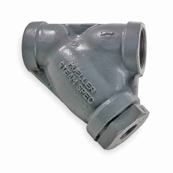 Y Strainer, 1-1/4" Pipe, FNPT x FNPT, Cast Stainless Steel