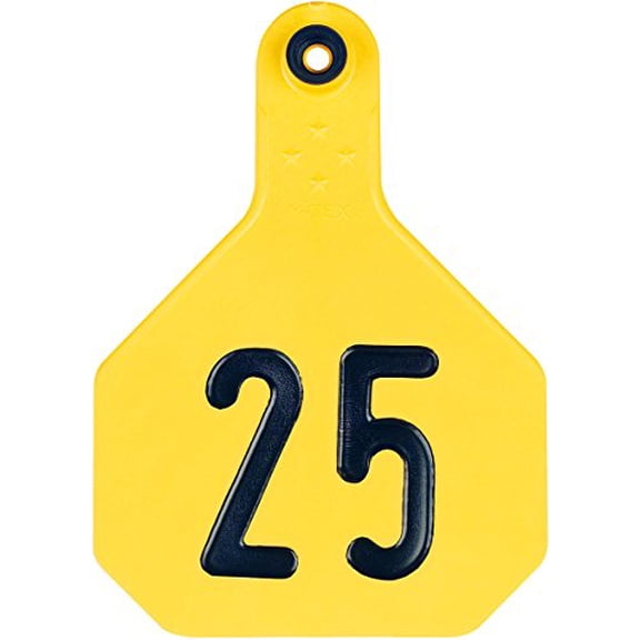 Y-TEX CORPORATION Large Yellow Tag (25 Pack)