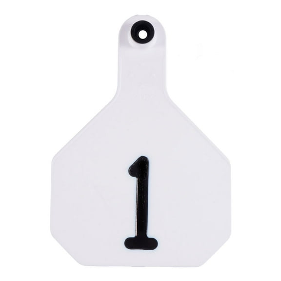 Y-Tex Large, Numbered (25) Color: White Number: 51-75