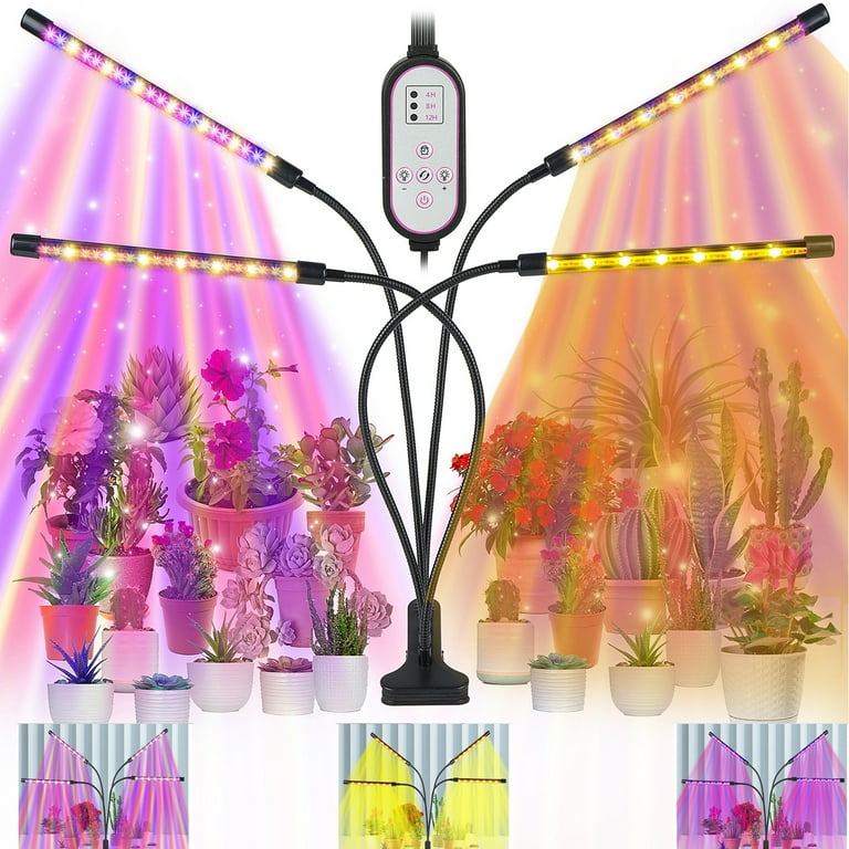Do Grow Lights Work? Everything You Need to Know, grow lights