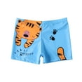 thumbnail image 1 of YABCSAZ Boys Swim Trunks Toddler Swim Shorts Stretch Swim Trunks Summer Casual Shorts Swimwear Kids Unisex Swim Suit Beach Shorts Boys Boxer Briefs Size 8-9 Years, 1 of 4