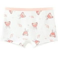 thumbnail image 1 of YABCSAZ Brief Underwear for Girls Silk Seamless Breathable Shorts Comfort Flex Baby Girls Summer Thin Dance Underwear Silhouette Options Kids Briefs Size 9 Years, 1 of 3