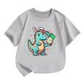 thumbnail image 1 of YABCSAZ Easter Tops for Toddler Baby Short Sleeve Dinosaurs & Eggs Tops Summer Casual Crewneck Tee Shirt Kids Loose Tops Boys Girls Outfits Size 3 T, 1 of 3