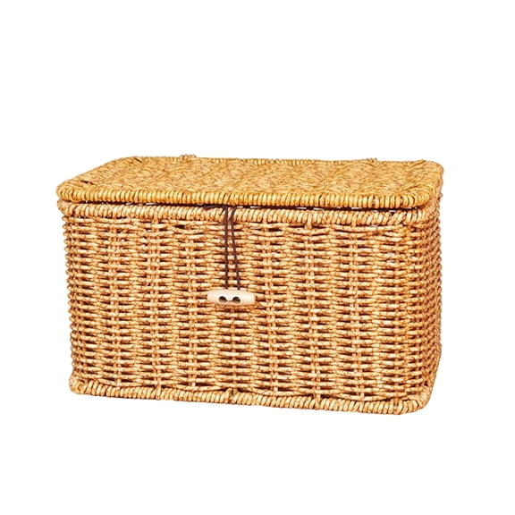 YAFABROO Plastic Wicker Storage Box with Lid, Handwoven Organizer Bin for Closet, Desk, Shelf – Farmhouse