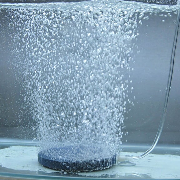 YAHHU 1.57 Inches Aquarium Air Bubble Stone Aerator Hydroponic Oxygen Diffuser Plate for Fish Tank Pump, Essential Oxygenating Accessory for Aquatic Environments, Gray, 1 Pack