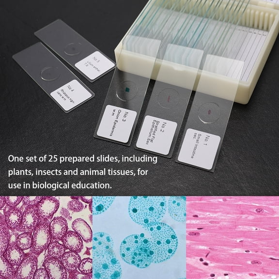 YAHHU 25PCS Biological Glass Sample Prepared Microscope Slides Animal Plants Tissues Specimen