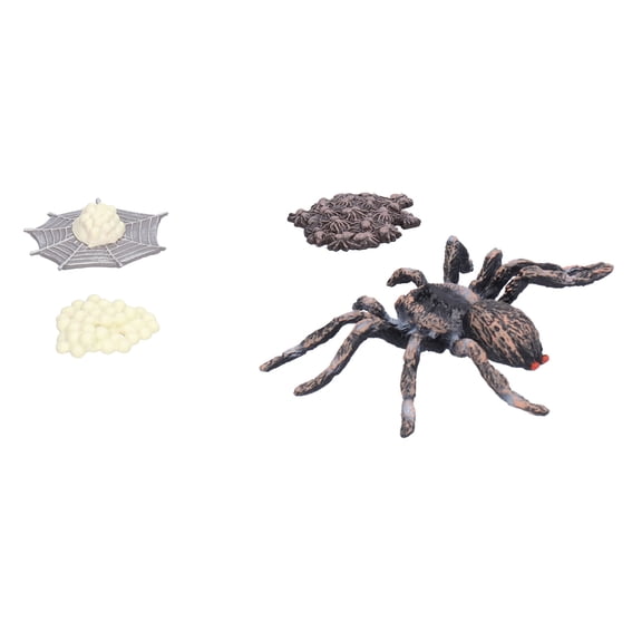 YAHHU Lifelike Spider Growth Cycle Model Insect Figurines Giant Whiteknee Spider Science Kit for Kids 3+ Years Old (5.51 inches / 14 cm)[cite: 1]